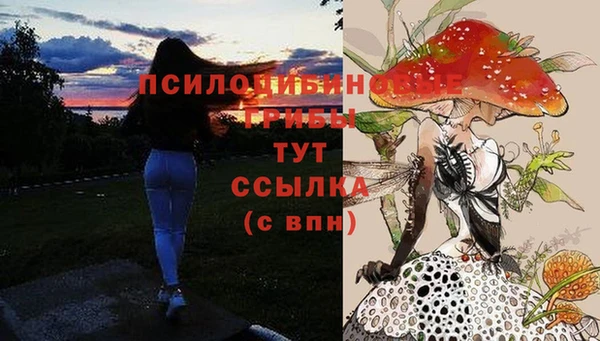 винт Алзамай