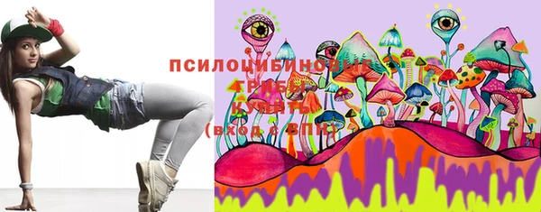 МДПВ Алексеевка