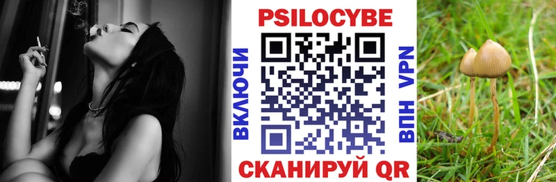 ОМГ ОМГ вход Павловский Посад Псилоцибиновые грибы Psilocybe